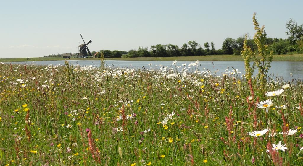 Vakantiepark Dennenoord 덴버크 외부 사진